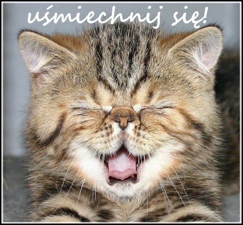 Kotek Mruczy U miechnij Si Gify I Obrazki Na GifyAgusi pl Kotek Mruczy U miechnij Si Gify I Obrazki Na GifyAgusi pl